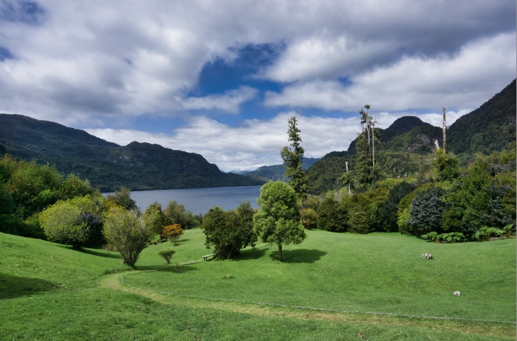 Série Patagônia – Excursão ao Parque Aikén del Sur leva o visitante a conhecer a história e espécimes da flora e da fauna da Patagônia chilena