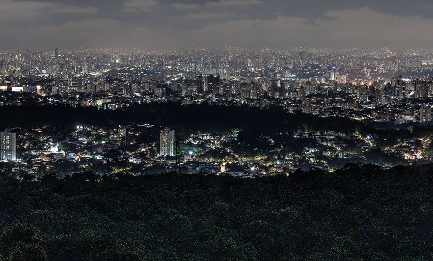 Caminhada Noturna no Parque Estadual da Cantareira proporciona imersão na Mata Atlântica sem sair de São Paulo