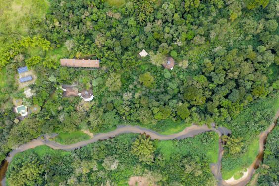 Dia de Proteção às Florestas – 17/07 – O papel do turismo responsável  na proteção das florestas 