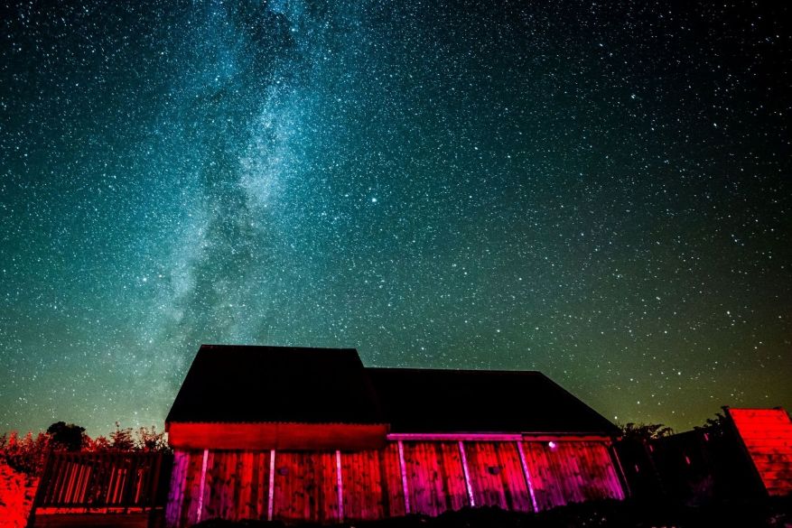 Conheça as estrelas verdes do Reino Unido 