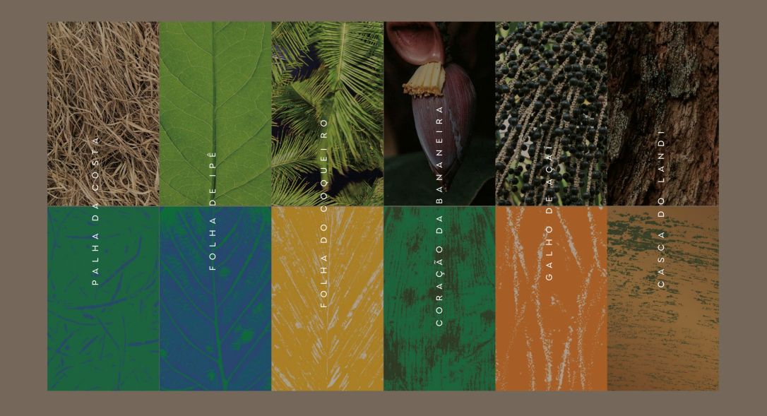 Inspirada na biodiversidade e cultura brasileira, Embratur lançará nova identidade visual no Salão Nacional do Turismo 2025