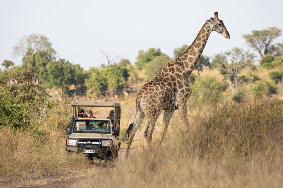 TTWGroup promove primeira edição de evento voltado ao turismo de luxo na África