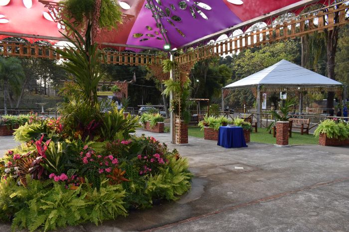 Festa das Orquídeas de Várzea Paulista: Um Espetáculo de Cores, Aromas e Grandes Shows!
