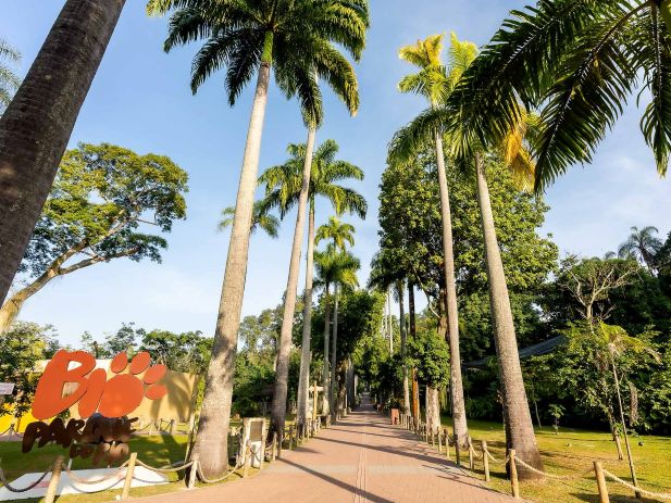 BioParque do Rio celebra Semana do Cliente com promoção com ingressos de meia-entrada na compra de 4 unidades