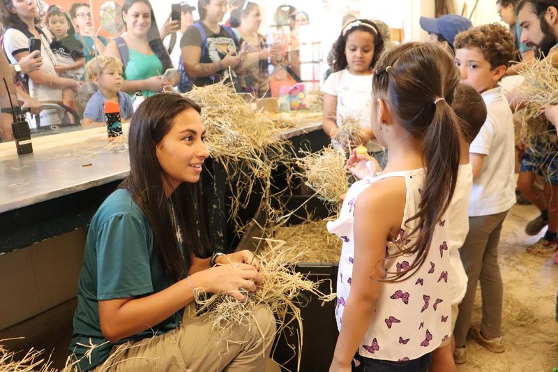BioParque do Rio oferece experiências educativas sobre conservação animal