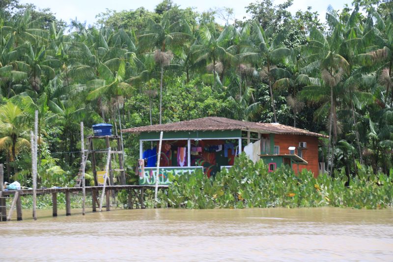 Roteiro turístico na Ilha do Combu é convite para turistas conhecerem   a floresta amazônica nos arredores de Belém