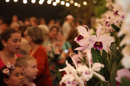 Joinville lança na ABAV Expo a 85ª Festa das Flores, o evento mais tradicional do gênero no Brasil