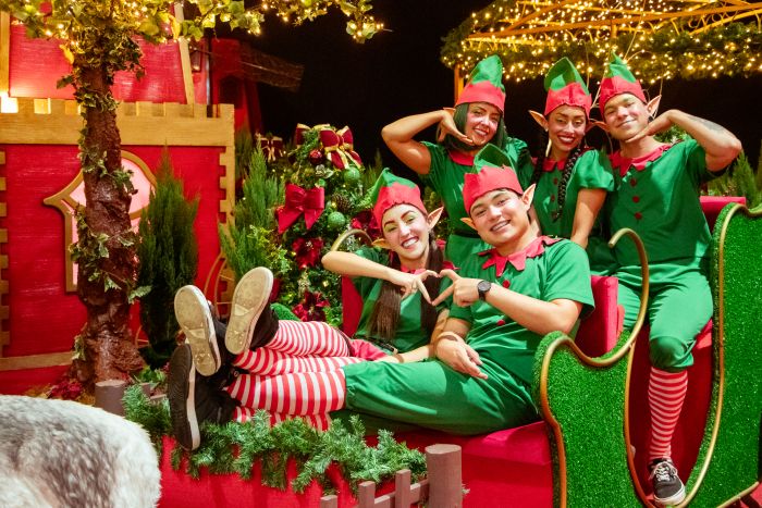 Natal de Holambra by Expoflora 2025