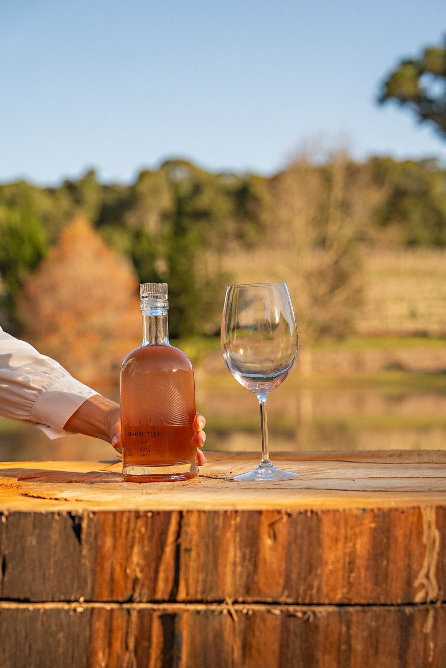 As experiências enoturísticas e gastronômicas que só se vive na Vinícola Madre Terra