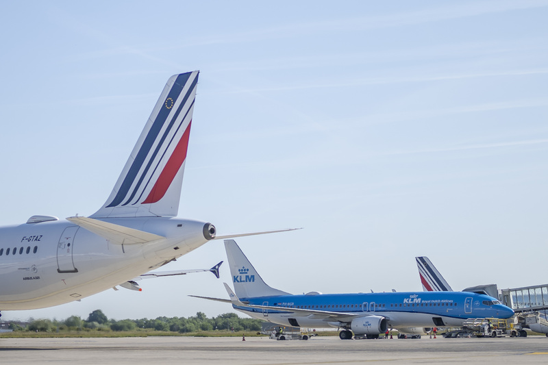 Flying Blue lança plano de assinatura que amplia benefícios para seus membros