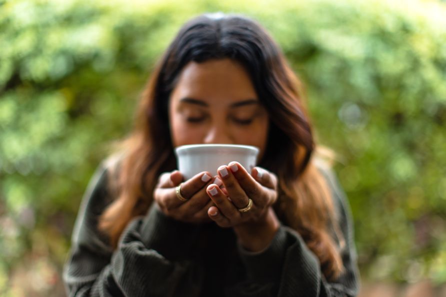 O café mais valioso do mundo nasce no Panamá: descubra sua origem entre as montanhas de Boquete e Tierras Altas
