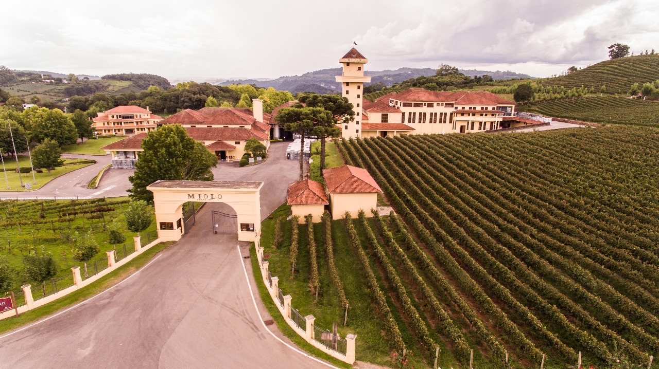 Vinícola Miolo inaugura novo Complexo Enoturístico e redefine a experiência no Vale dos Vinhedos