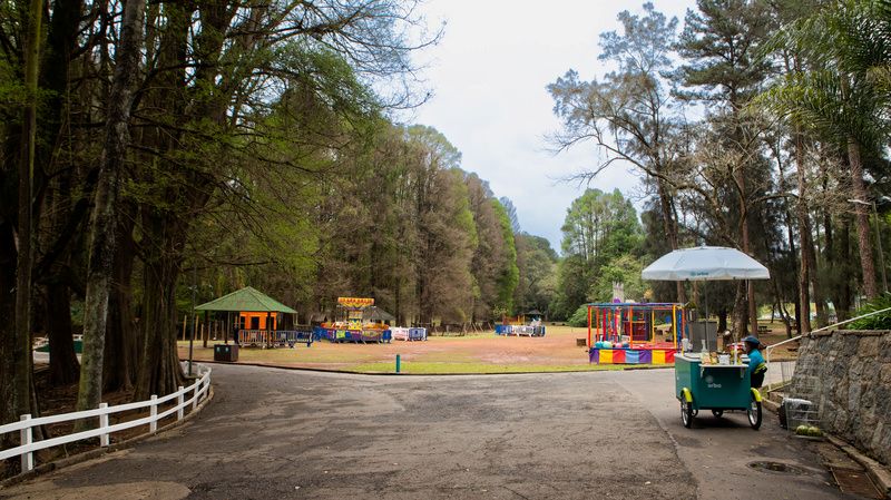 Horto Florestal celebra Aniversário de São Paulo com pré-estreia de cinema e programação gratuita de férias
