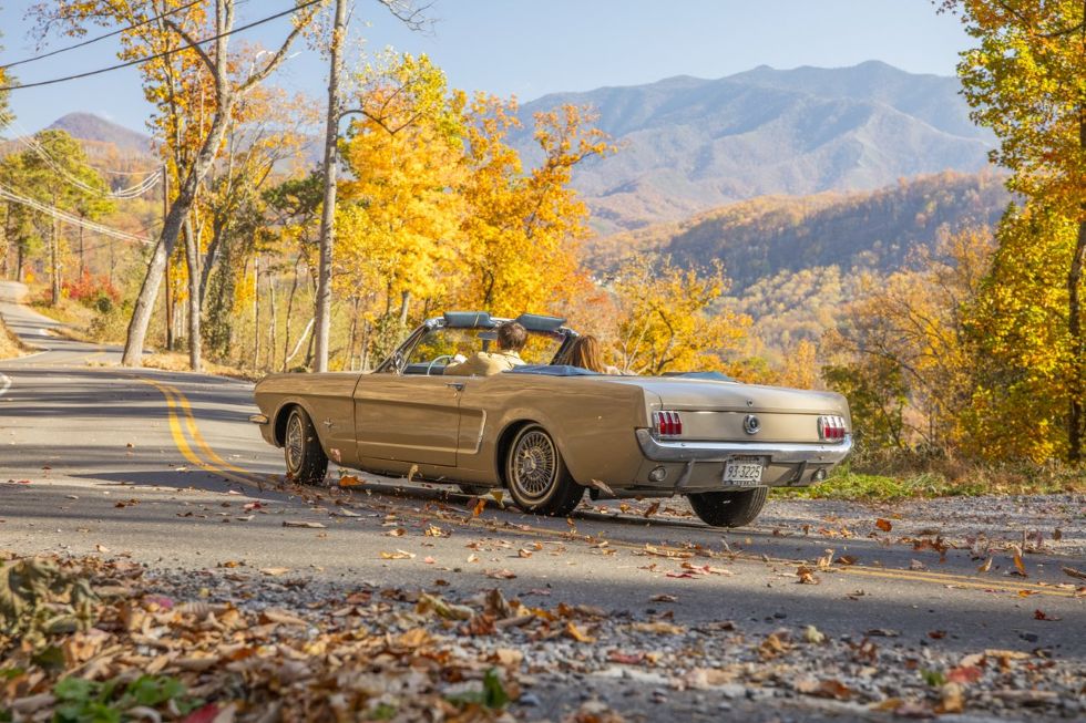 O que te espera no sul dos Estados Unidos em 2026