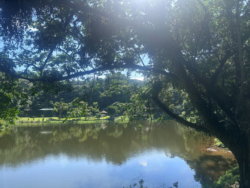 Joinville ao ar livre: parques, trilhas e experiências para viver a cidade em famílias