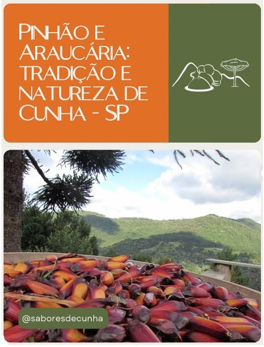 Festival Gastronômico Sabores de Cunha celebra o pinhão em 25 restaurantes da cidade