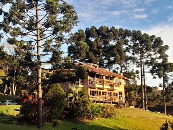 Rotas do Pinhão adota Wikitravel.ai para integrar promoção turística no PR