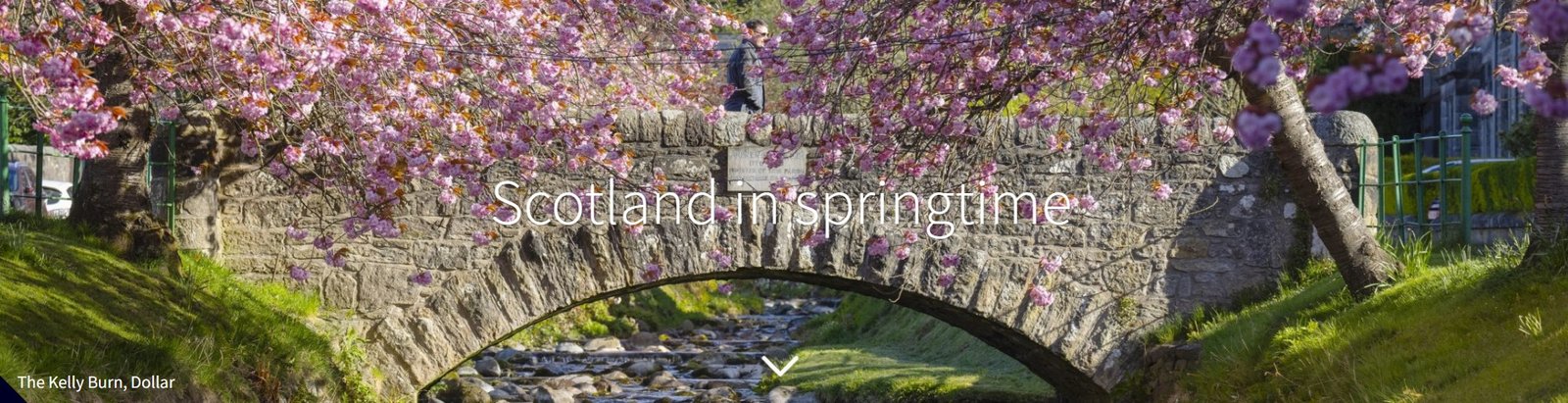 Razões para escolher a Escócia na primavera