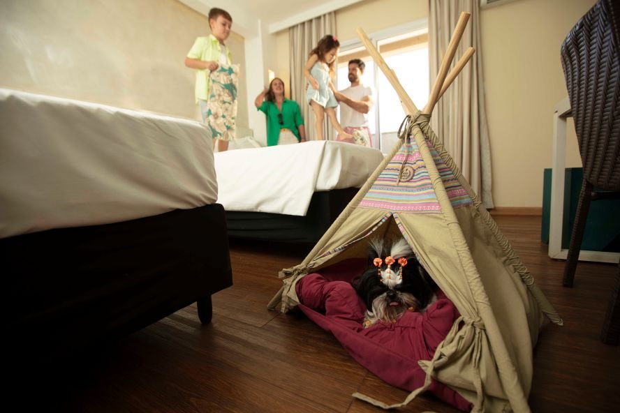 Hot Beach Parques & Resorts investe em turismo pet friendly para atender novo perfil do viajante brasileiro
