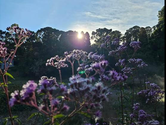 Com 3,5ºC, Monte Verde (MG) registra a menor temperatura do Brasil e a mais baixa do ano no destino
