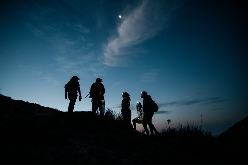 Turismo noturno no Panamá: bioluminescência, safáris e desova de tartarugas