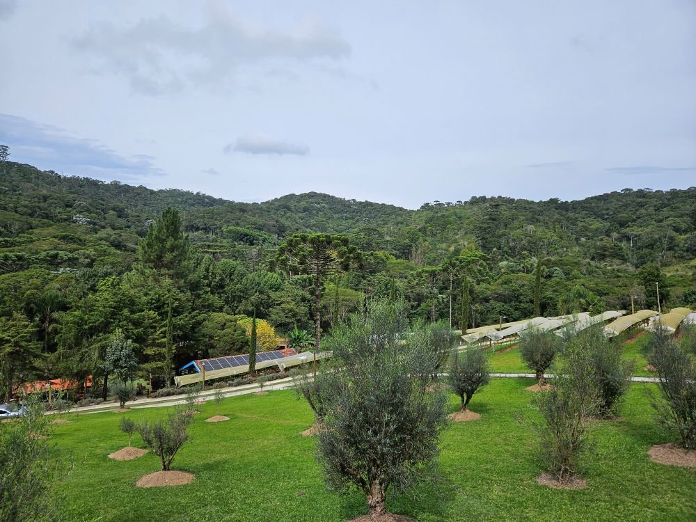 Viva uma experiência enogastronômica inesquecível em meio à natureza da Serra da Mantiqueira