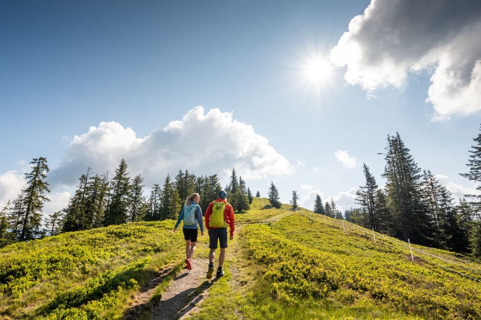 5 benefícios de caminhar e fazer trilhas na Áustria