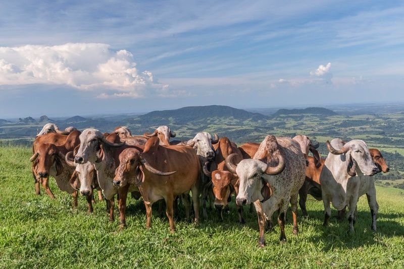 Pardinho Artesanal anuncia o ‘Pardinho Trail Experience’, circuito-experiência que une território, gastronomia e pausa