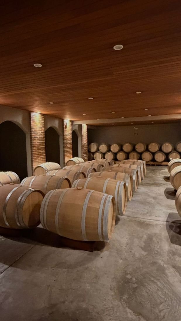 Vinho paranaense entra para a história ao conquistar terceiro ouro no Vinalies, um dos concursos mais prestigiados do mundo