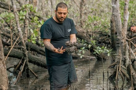 Da serra ao mangue: como Joinville resgata ingredientes raros e transforma a natureza em experiência gastronômica