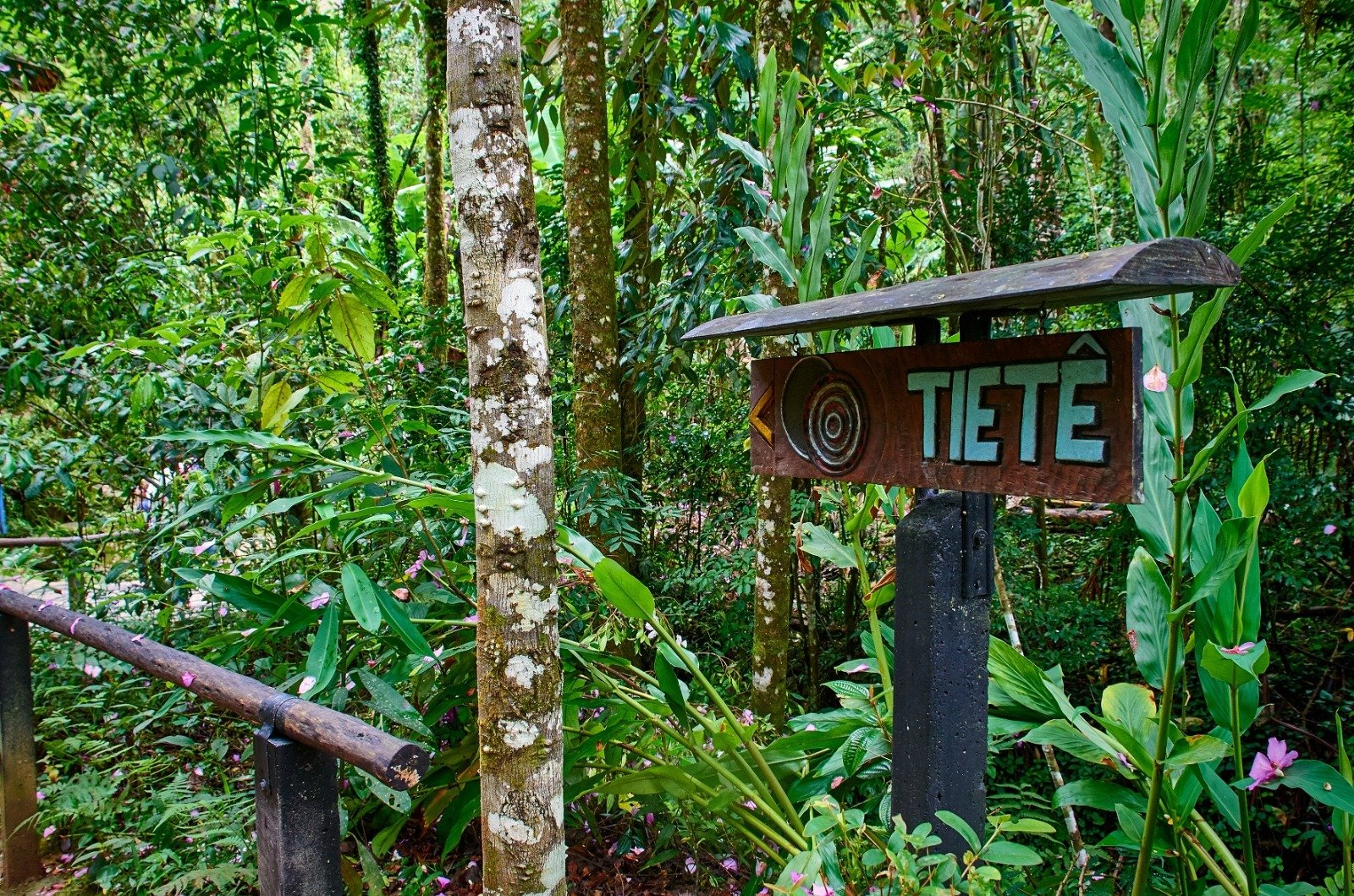 Mantiqueira Paulista e Nascentes do Tietê ganham destaque em guia de turismo de natureza