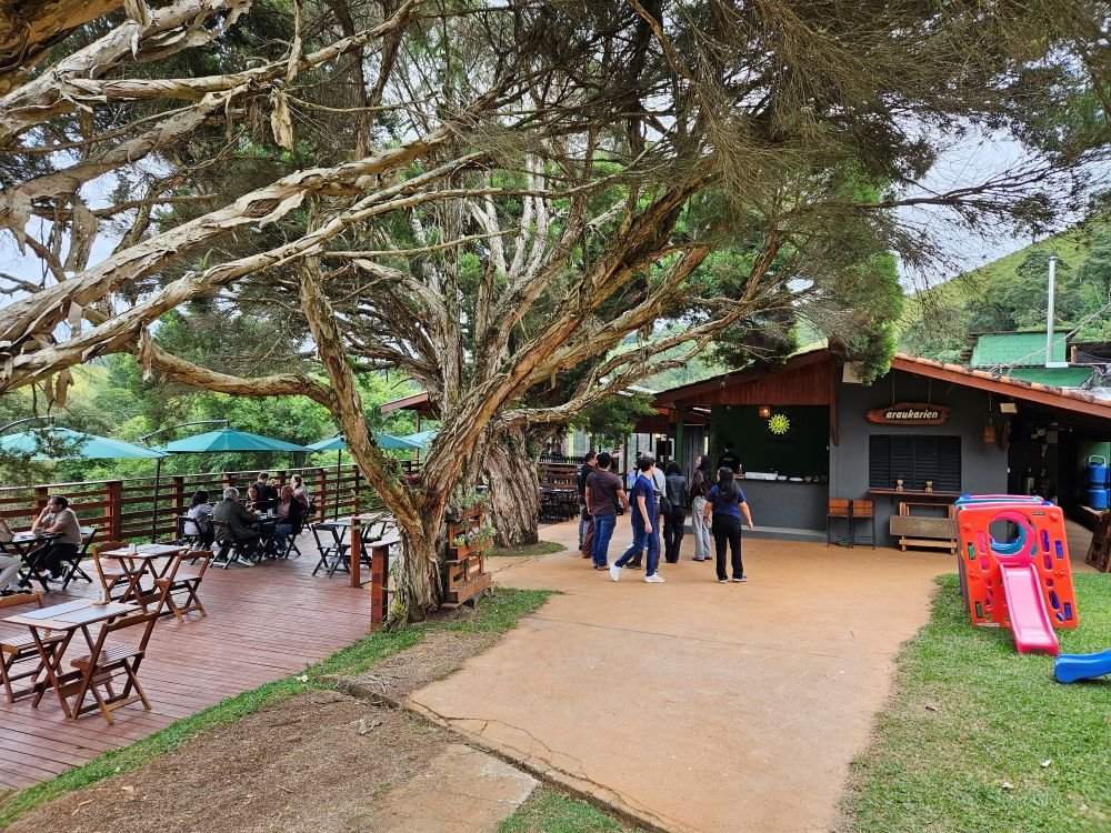 Cervejaria artesanal de Santo Antônio do Pinhal conquista o público com cervejas autênticas e com estilos para todos os gostos