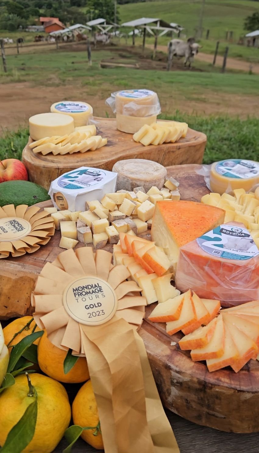 Rota Gastronômica Mantiqueira Paulista e Rios do Vale – Conheça a fazenda em Caçapava que virou um ponto turístico com a produção de leite A2 e seus derivados premiados