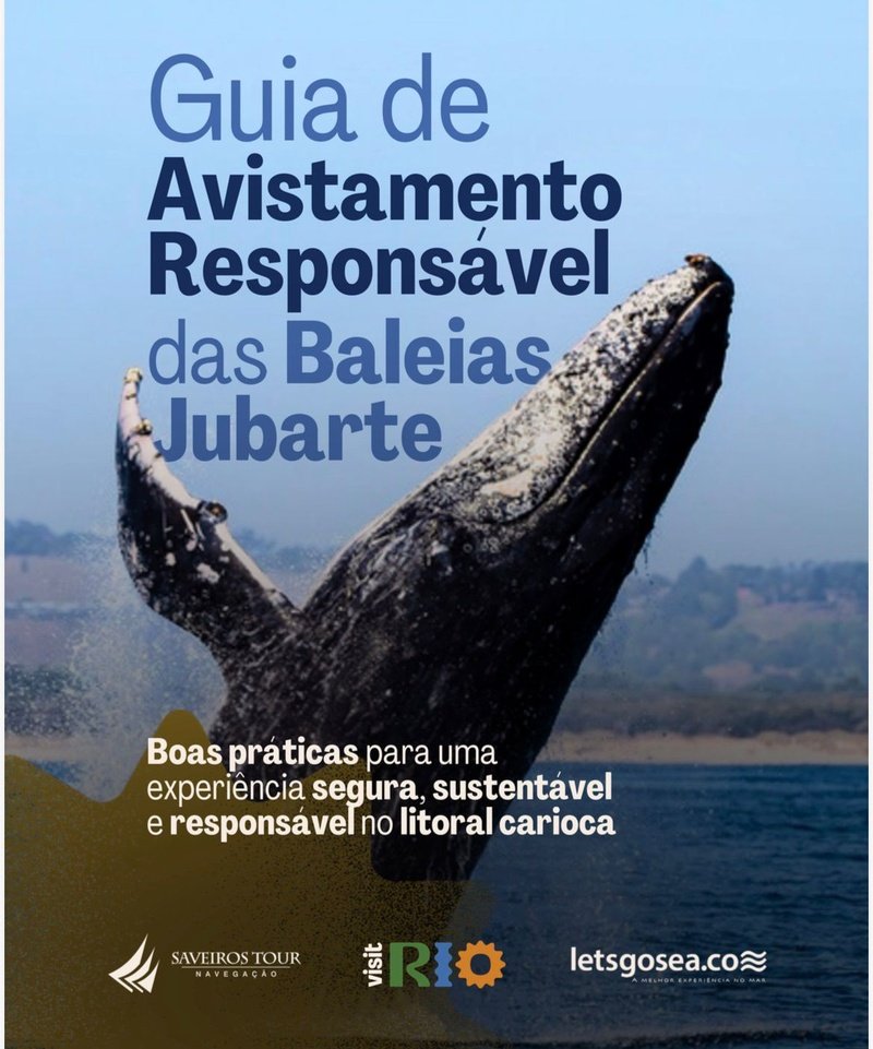 Com a chegada da temporada das jubartes, Visit Rio lança guia de avistamento responsável