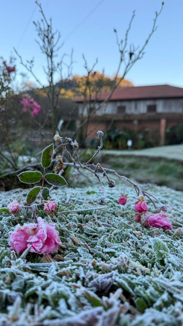 Inverno transforma Caminhos de Pedra em roteiro de sabores, cultura e história na Serra Gaúcha