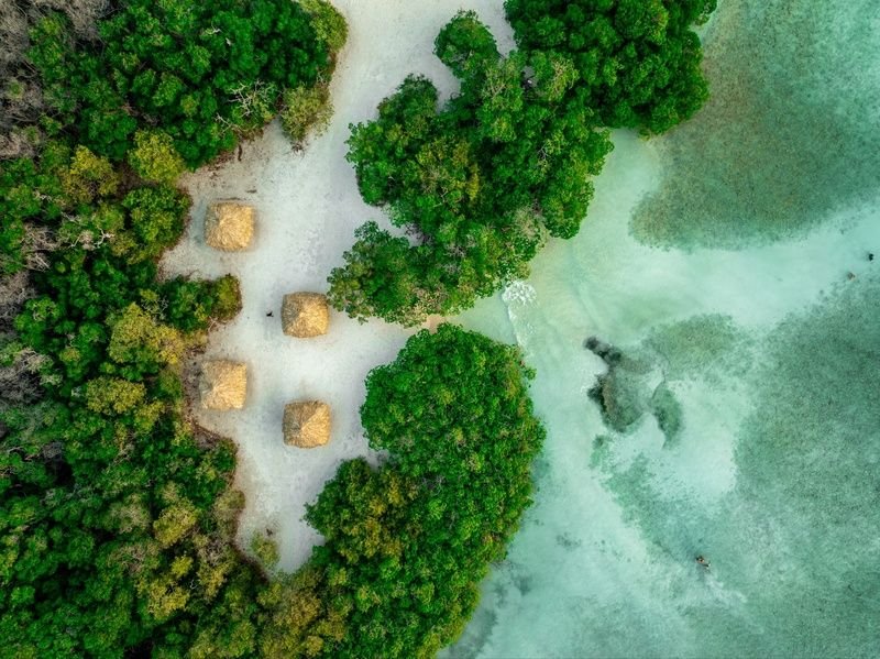 Aruba foi designada Reserva da Biosfera pela UNESCO