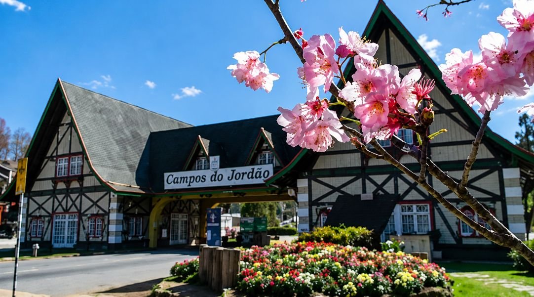 Campos do Jordão além do inverno: Um roteiro de design, arte e cultura pela cidade