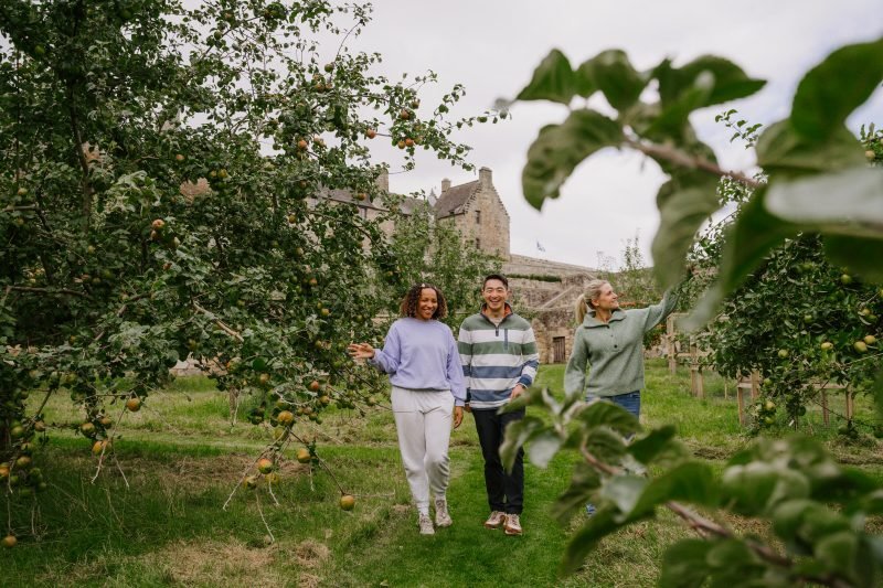 Sabores de outono: temporada de colheita na Grã-Bretanha une gastronomia, tradição e experiências de outono