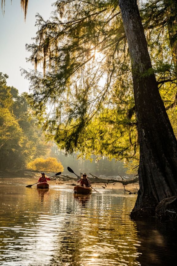Sul dos USA – Uma viagem fotogênica pela Carolina do Sul
