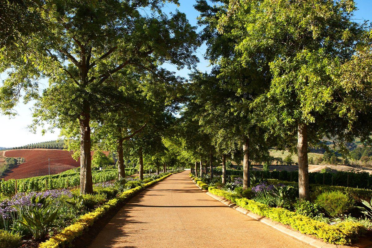 A Chegada da Primavera na Delaire Graff Estate: Uma celebração da sazonalidade e da transformação