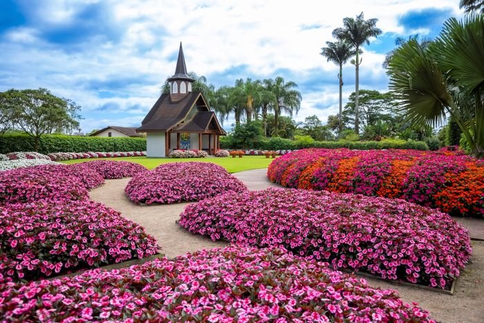 Primavera em Joinville reúne flores, natureza programação cultural diversificada