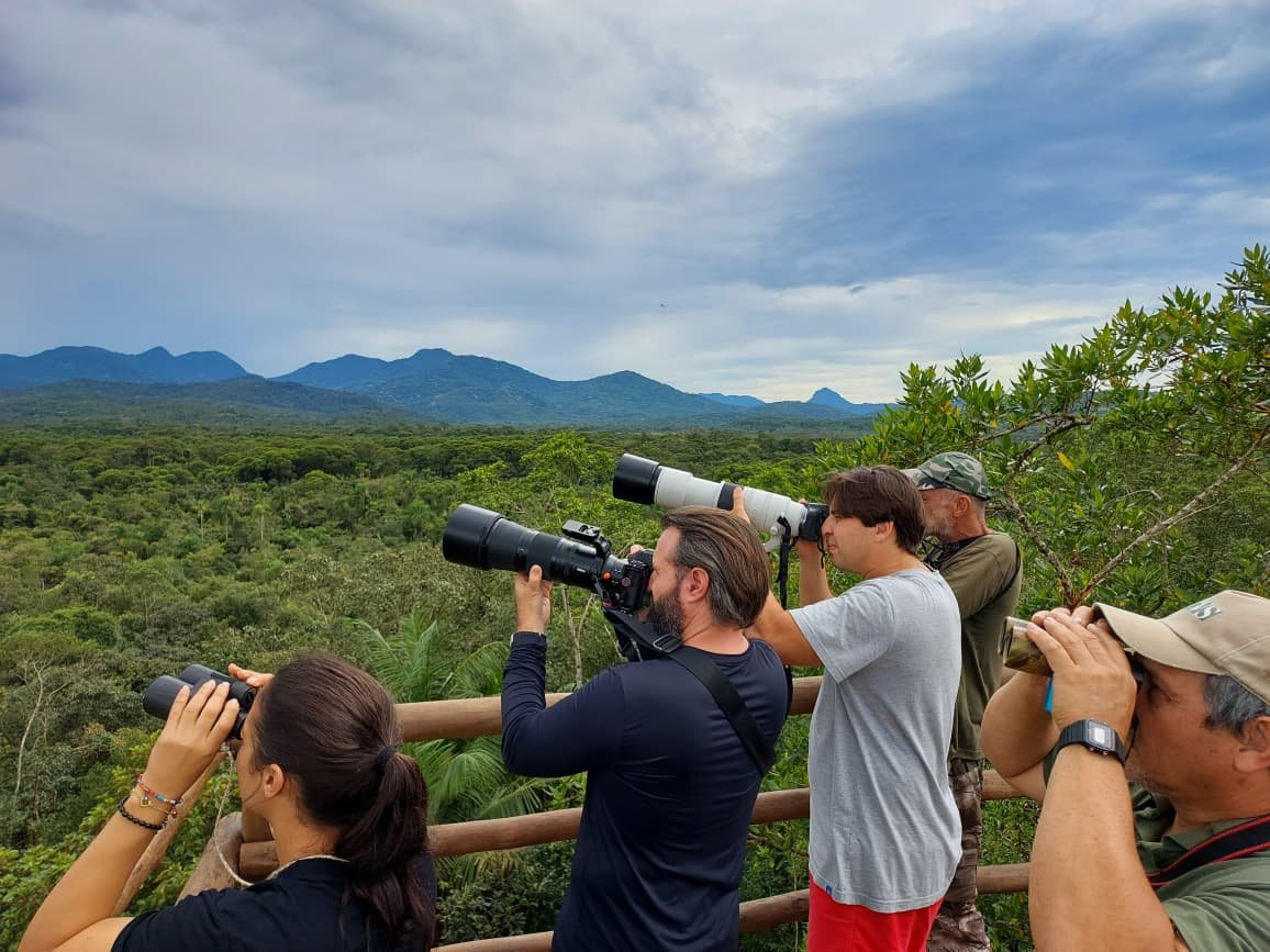 Reserva da SPVS lidera registros de espécies de aves no Paraná durante October Big Day de 2026