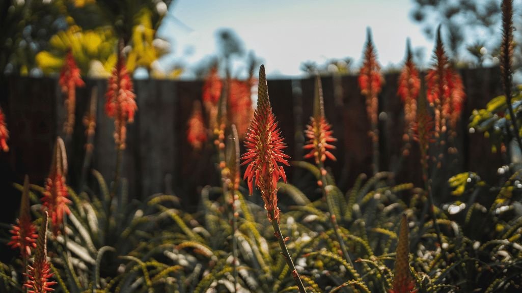Mostra inédita abre nove jardins à visitação no Vale do Café e Vale das Videiras
