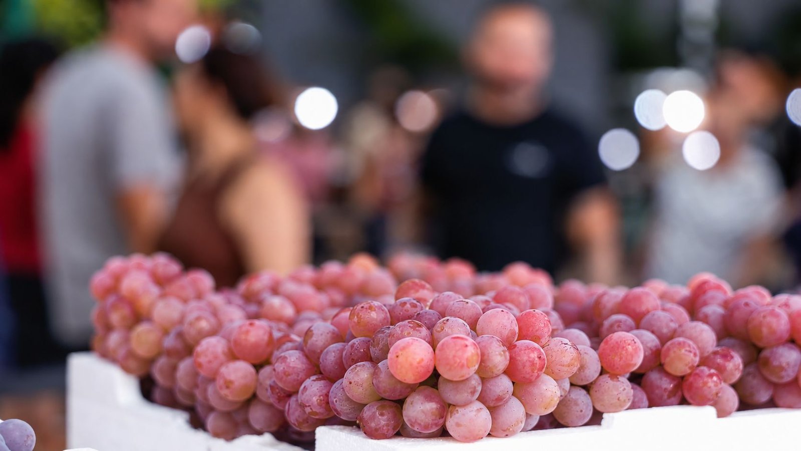Festa da Uva de Jundiaí tem tradição, atrações e experiências para toda a família