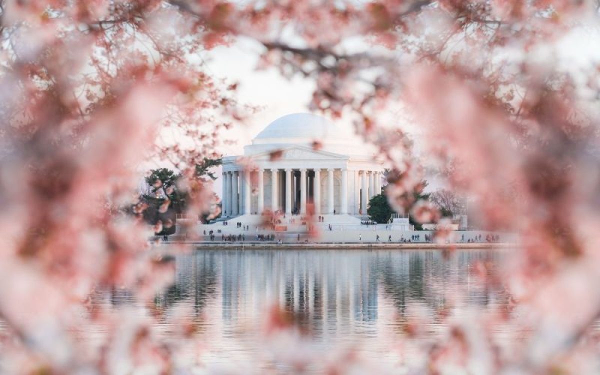 Washington, DC celebra a chegada da primavera com o Cherry Blossom Festival