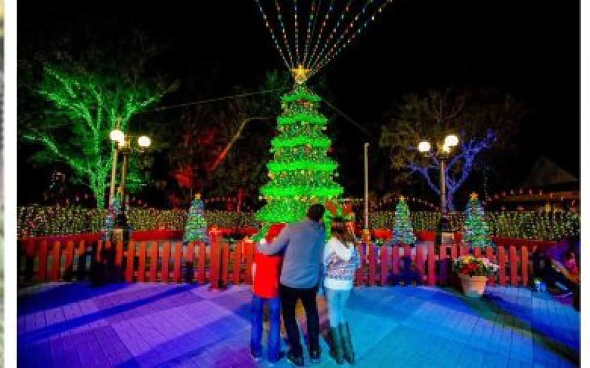 Magia natalina ilumina a Flórida Central