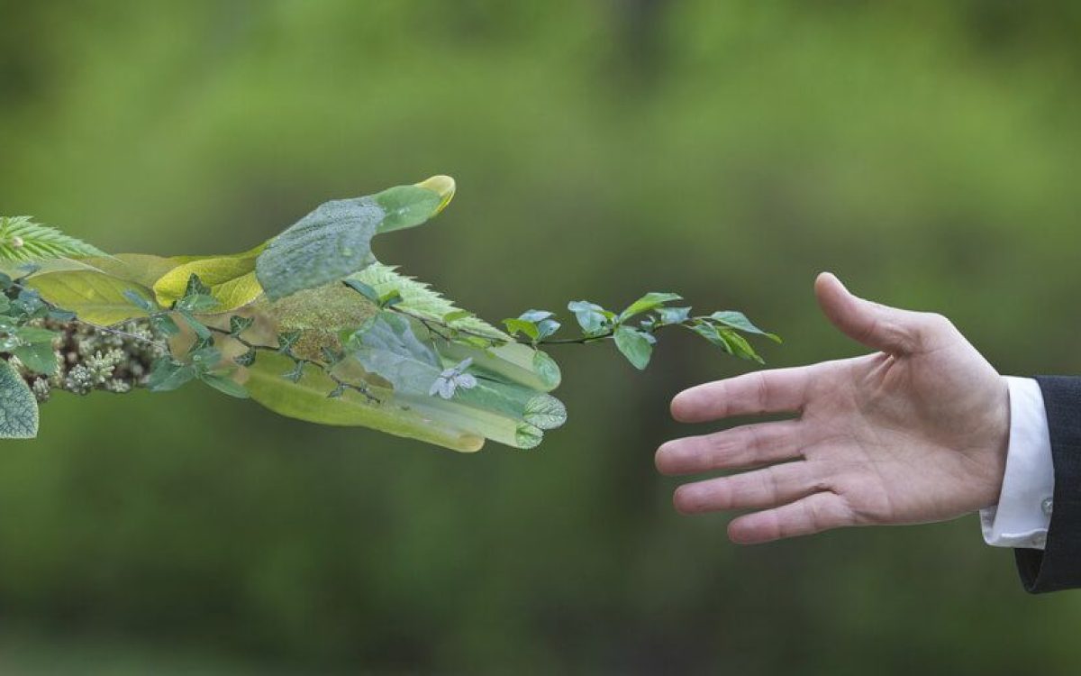 Sustentabilidade em Hotéis de Luxo e muito além do selo, um compromisso diário