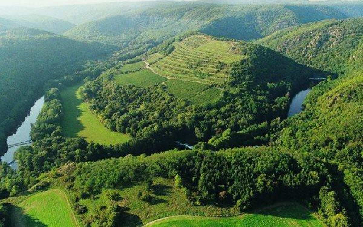 O enoturismo na República Tcheca