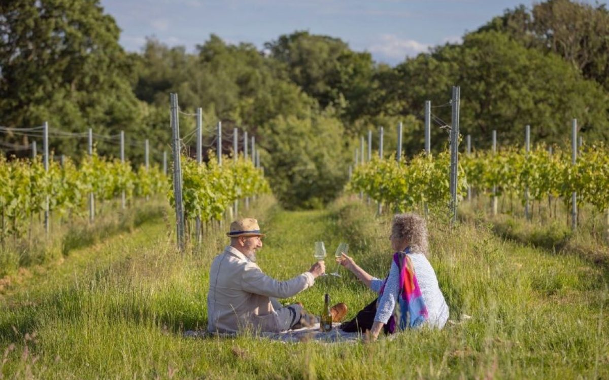 Revolução do vinho na Grã-Bretanha: abertura do vinhedo Domaine Evremond e os vinhos espumantes britânicos em destaque