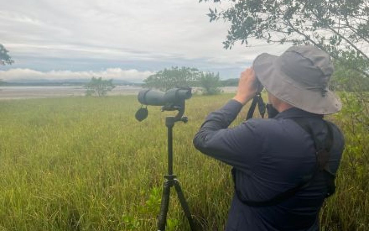 Joinville desponta como destino promissor para o turismo de observação de aves